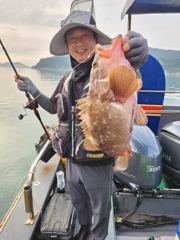히트