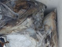 9월17일 쭈꾸미 낚시 사진