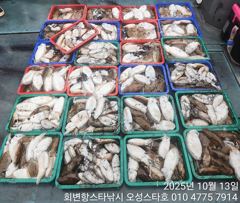 10월 13일 오성스타호 갑오징어 출조다녀왔습니다~ 사진