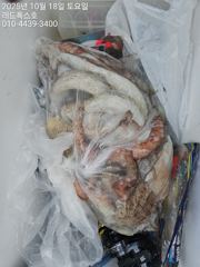 여수레드폭스호 돌문어 조황입니다 사진