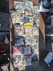 10월25일 (장고항그린호)주&갑조황 사진