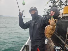 10월26일 갑오징어 조황입니다. 사진
