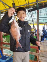 11.1 성호좌대 조황소식 사진