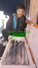 통영돼지갈치 10/31(목)~11월1일 조황입니다 사진
