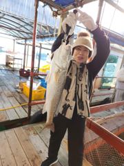 11.15 성호좌대 조황소식 사진
