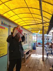 11.21 성호좌대 조황소식 사진