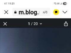블로그사진 사진