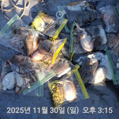 여수 투에스호 11월 30일 조황