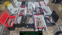 12월27일 출조후기