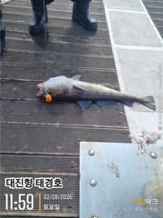 대구