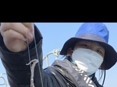 봄 ☆알쭈꾸미☆ 5월9일까지 사진