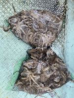 쭈갑조황 글만 보기 사진