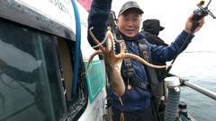 피싱매니아 2026년4월14일 봄쭈꾸미 조황입니다