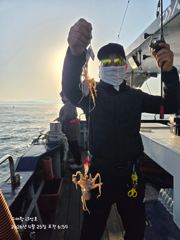 4월25일 뉴나성호 봄쭈꾸미 조황