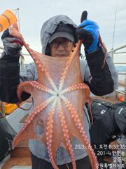 강릉 아리아호 5월 1일 피문어 조황입니다 사진