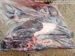 오늘의조황 - 우럭광어다운샷 - 원산도 오복피싱,배낚시 전문 사진