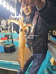 [통영대교피싱]토요일 조황과 화요일 수요일 출조모집 사진