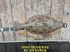 23일 12분의 썬크루즈호 대광어 조황입니다