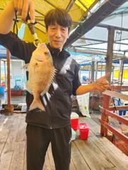 5.24 성호좌대 조황소식 사진