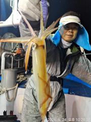 5월25일입항 한치이카 조황소식 입니다  사진
