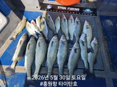 홍원항 타이탄호 5월30일(토) 괴력 농어 잡고 왔습니다~