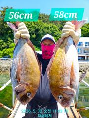 [통영 선외기 태성레저]참돔 꼬라박기 62/58/56/55/54외 주말(30일,31일)조황 사진