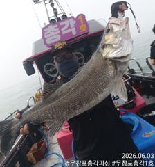 보령 무창포 농어 생미끼 외수질 < 총각1호 >  오늘도 대박 조황!!! 평일 자리 여유~!! 사진