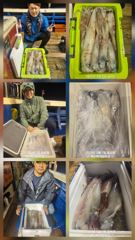 한치 대포알급 야구빳따 싸이즈 나오고 있습니다    화요일 7자리여유   세자리수  도전    대포알급 묵직한 손맛 즐기실분들 미리미리 연락주세요  사진