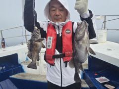 6월6일 우럭조황 사진