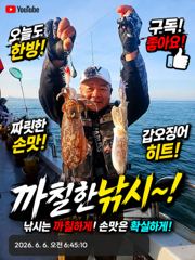 ☆골드스타호☆ 봄 갑오징어 조황 6월6일 사진