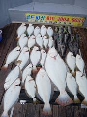 06월06일 외수질 조황(13명) 사진
