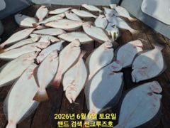 6일 썬크루즈호 15분 광어 다운샷 조황입니다 사진
