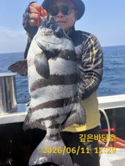 [제주 깊은바당호] 6월 11일 돌돔 조황입니다