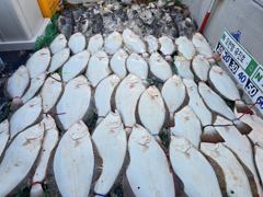 '오천항 유진호' 6월12일(금) '생새우-외수질' 조황 소식 사진