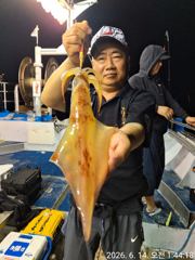 6월14일입항 대포한치 조황소식 입니다  사진