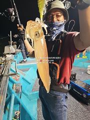 [통영대교피싱]일요일밤 핫한 실시간 사진