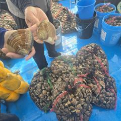 6월17일 강백호 행복한 해루질 체험 사진