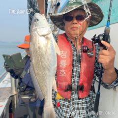 오천 아리랑1호 실시간 조황