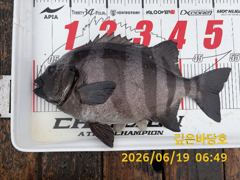 [제주 깊은바당호] 6월 18일-19일 조황입니다