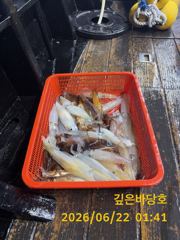 [제주 깊은바당호] 6월 21일 돌돔 한치 조황입니다