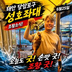 6.25 성호좌대 조황소식 사진
