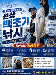 백조기 탐사 조황 사진