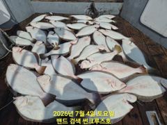 7월 4일 12분 모시고 점심 없이 조기 철수 광어다운샷 조황 사진
