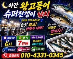 7/4 좋아 좋아 고등어,전갱이 쿨러가득... 꾸준하게 계속 올라와 주었읍니다. (항상 출항준비 완료) 사진