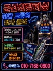11잁 12일 토/일 야간 고등어 탐사 낚시 ( 예약가능) 사진