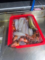 한치조업 사진