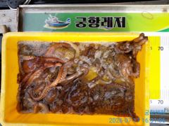 [곤리 풍화] 궁항레저 문어 조황입니다 사진