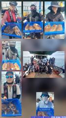 [영동1호] 7월 19일 왕 갑오징어 조황 사진