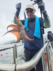 대구리 문어 꾸준히