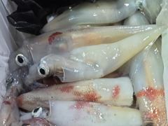 [거제블루]거제권한치 다시 세자리수 터졌습니다  먹물폭탄 밤새 쏟아지고 전체쿨러조황  오늘자리여유~~ 사진